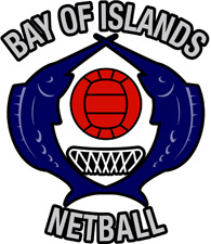 boi netball logo small